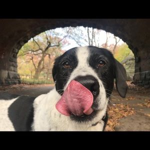 Meet your Posher, Julia